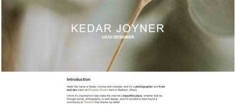 Image result for About Page HTML CSS