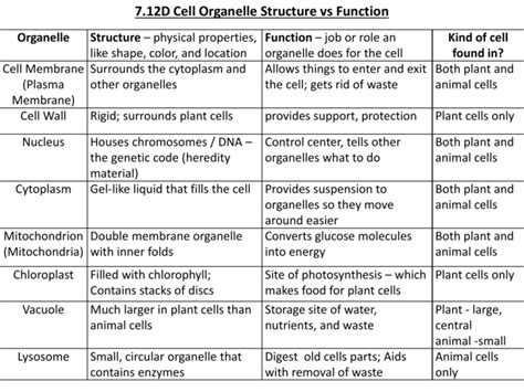Image result for Organelle Structure and Function