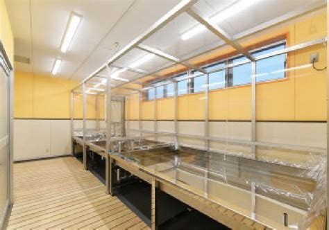 CoH2 Building に対する画像結果