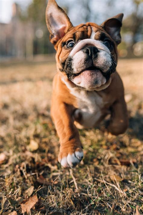 Amenities | Oak Meadows