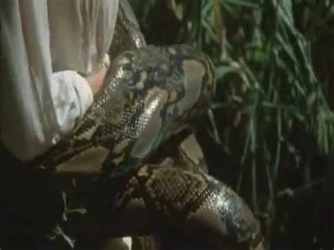 Afbeeldingsresultaten voor Python Wraps Up Girl