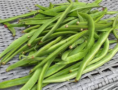 Image result for How to Prepare Stringless Beans