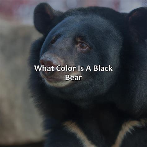 Ob Color Obsidian に対する画像結果