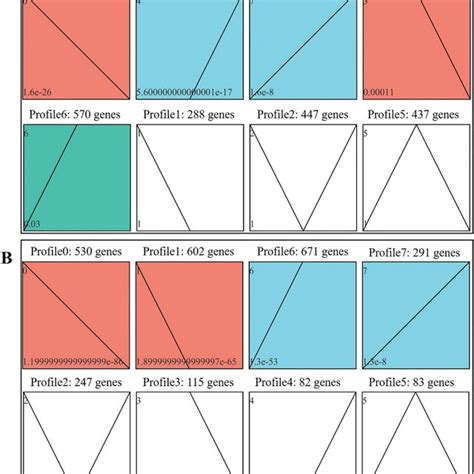 Image result for Stages of Gene Expression