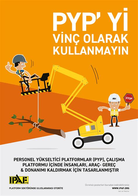 IPAF Cat Poster に対する画像結果