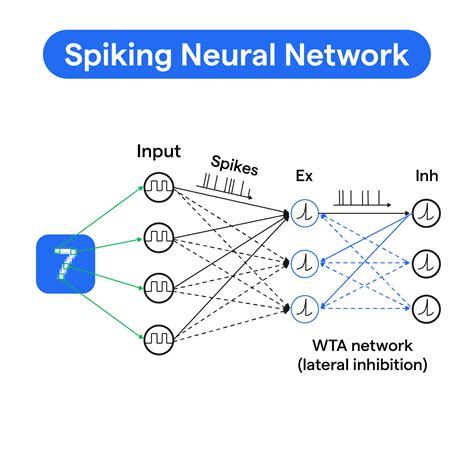 Image result for Sparse Coding in Spiking Neural Networks