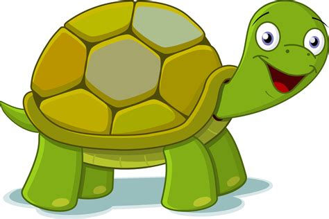 Turtle PNG に対する画像結果