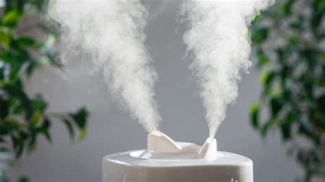 Toradh íomhá ar How to Use a Humidifier Properly