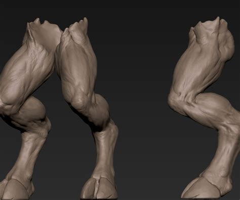Image result for Creature Legs Reference 3D Model