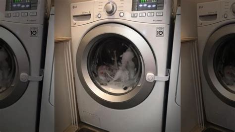 Image result for Step Stuck in Washing Machine