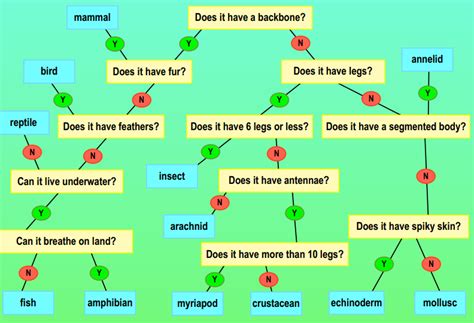 Toradh íomhá ar Classification Flowchart