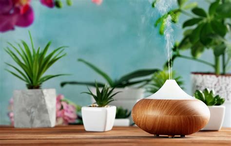 Toradh íomhá ar Best Essential Oil Diffuser