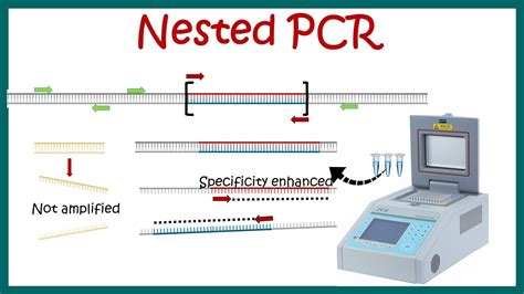 Toradh íomhá ar PCR Machine Diagram