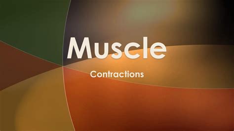 Toradh íomhá ar Muscle Fiber Contraction Sequence