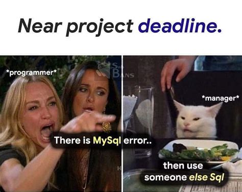 Bildergebnis für Dumb SQL Error