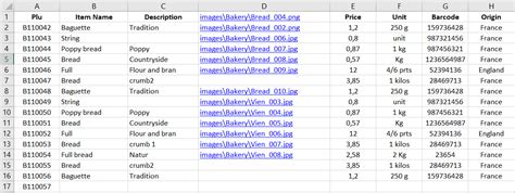 Image result for How to Best Convey a Database On Excel