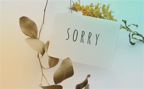 Image result for Apology Language Quiz