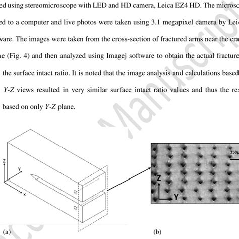 Image result for How to Do Lattice Structure in SolidWorks