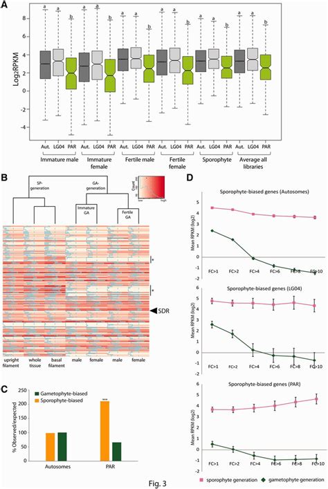 Image result for Stages of Gene Expression