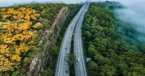 Image result for CTP Insurance