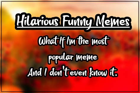 Image result for Hilarious Memes