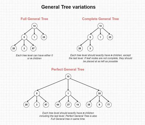 Toradh íomhá ar Forest Tree Data Structure