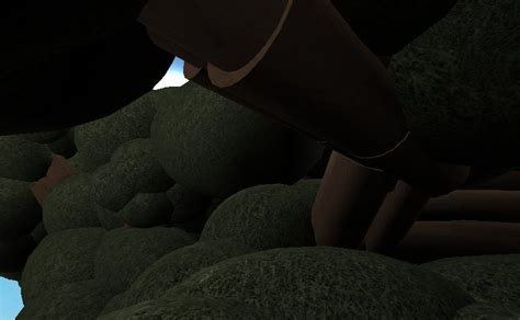 Realistic Tree ID Roblox に対する画像結果