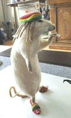 Non Cringe Discord PFP に対する画像結果