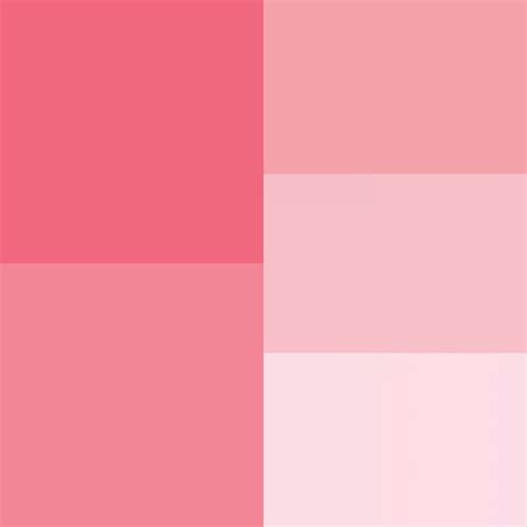 Image result for Soft Pink Color Palette