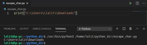 Image result for Escape Backslash Python
