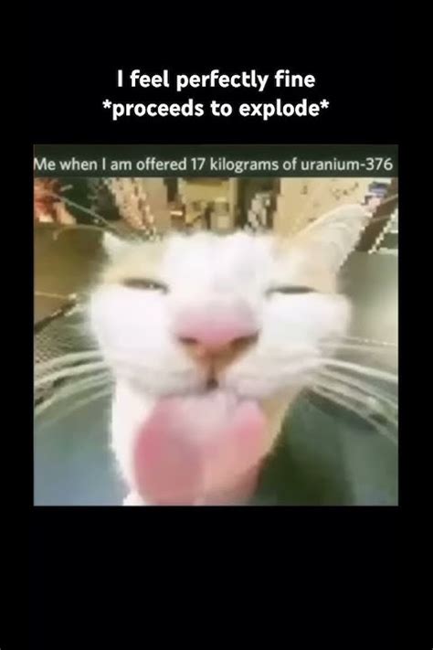 Image result for Nuke Explosion Cat Face Meme