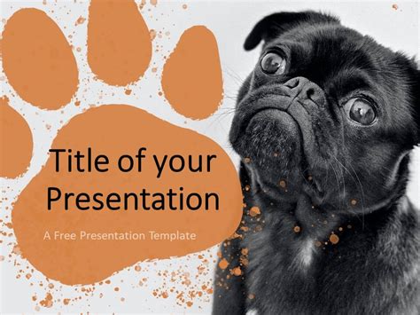 Toradh íomhá ar Animal PowerPoint Template