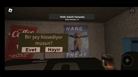 Toradh íomhá ar Roblox Survey Project