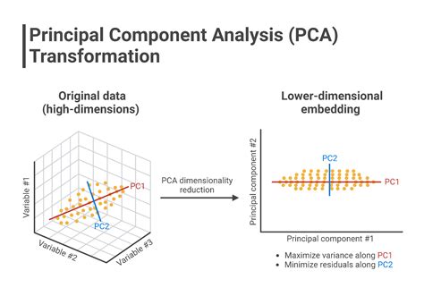 Image result for Pca Model in Image Processing
