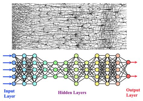Afbeeldingsresultaten voor Neuron in Deep Learning