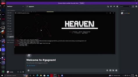 Toradh íomhá ar Free Image Logger for Roblox
