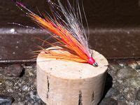 Image result for Coho Salmon Fly Patterns
