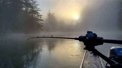 Fishing Hook Logo के लिए छवि परिणाम