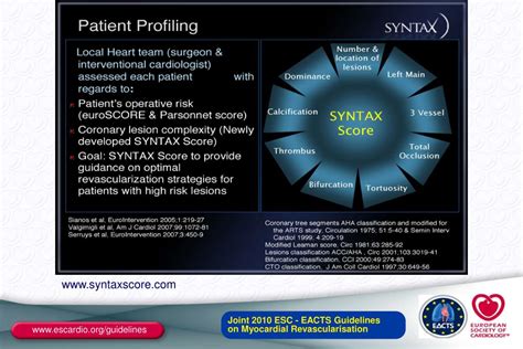 Image result for Syntax Score Chart
