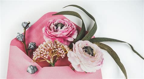 Find About Blank に対する画像結果