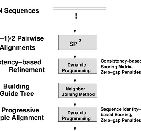 Image result for Multiple Sequence Alignment Flow Chart