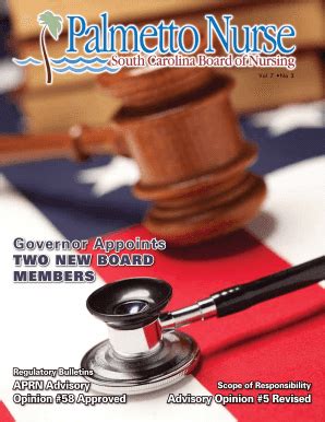 Toradh íomhá ar LLR SC.gov