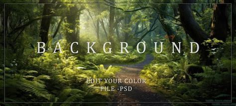 Image result for Lush Jungle Path