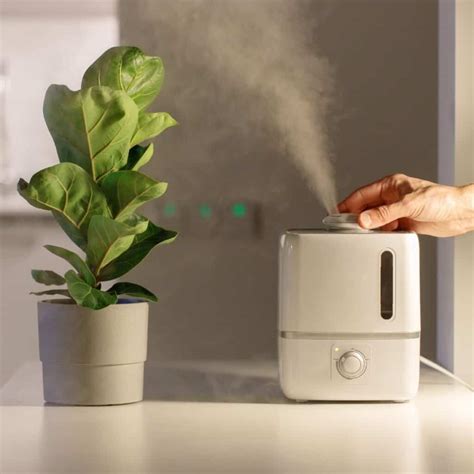 Image result for How to Use an Air Humidifier in a Room