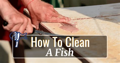 Image result for Catch Clean Cook Whole Fish