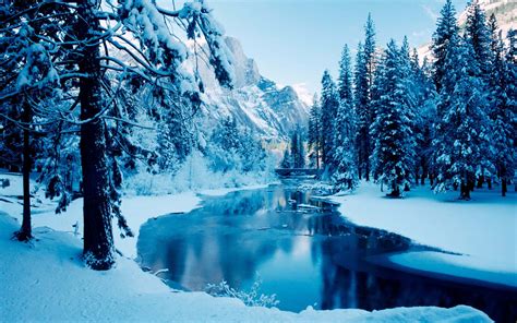 Image result for Winter Wonderland Background