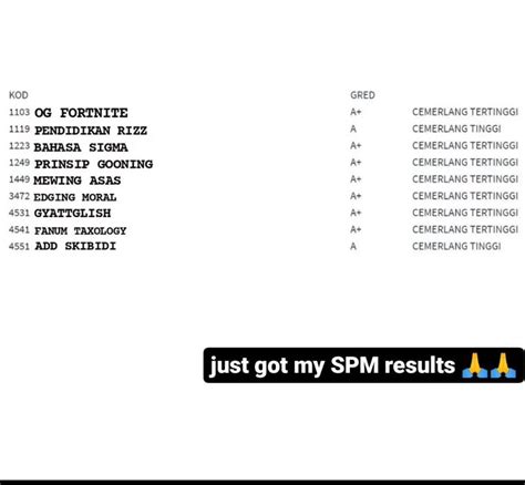 Image result for SPM Result