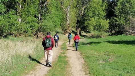 Image result for Reconectar Con Naturaleza