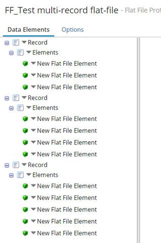 Flat File Profile Example に対する画像結果