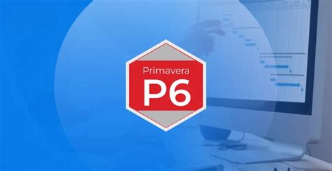 Toradh íomhá ar Application of Primavera P6